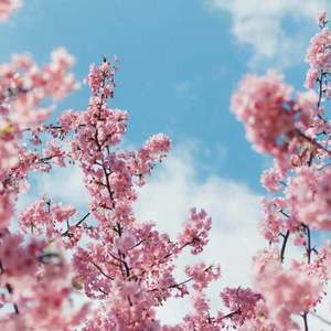 高潮流白浆潮喷av
